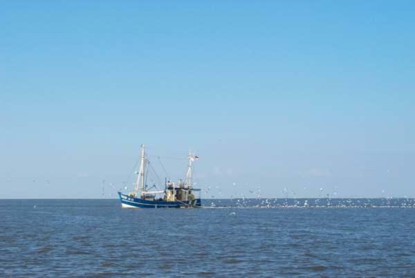 Nonnenganshauser Friedrichskoog Exterior foto